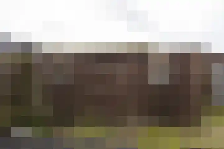 Prins Bernhardplein 2 Kaatsheuvel thumbnail 6
