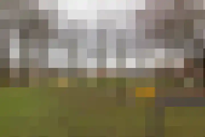 Prins Bernhardplein 2 Kaatsheuvel thumbnail 8