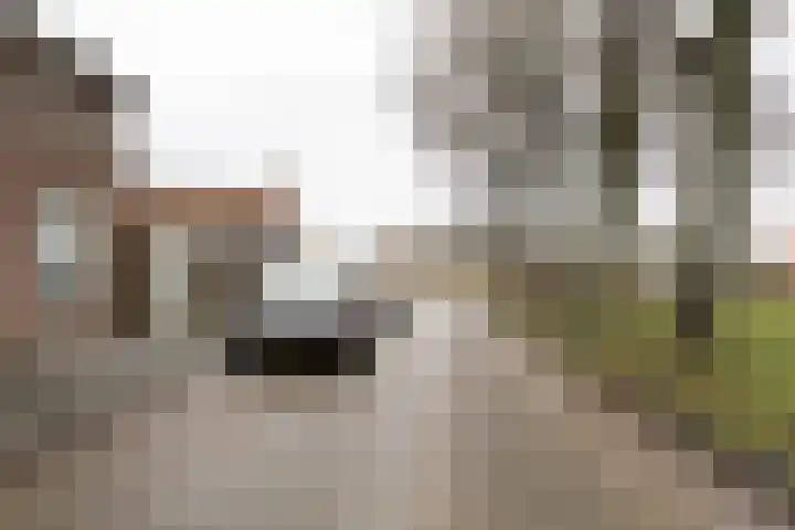 Prins Bernhardplein 2 Kaatsheuvel thumbnail 9