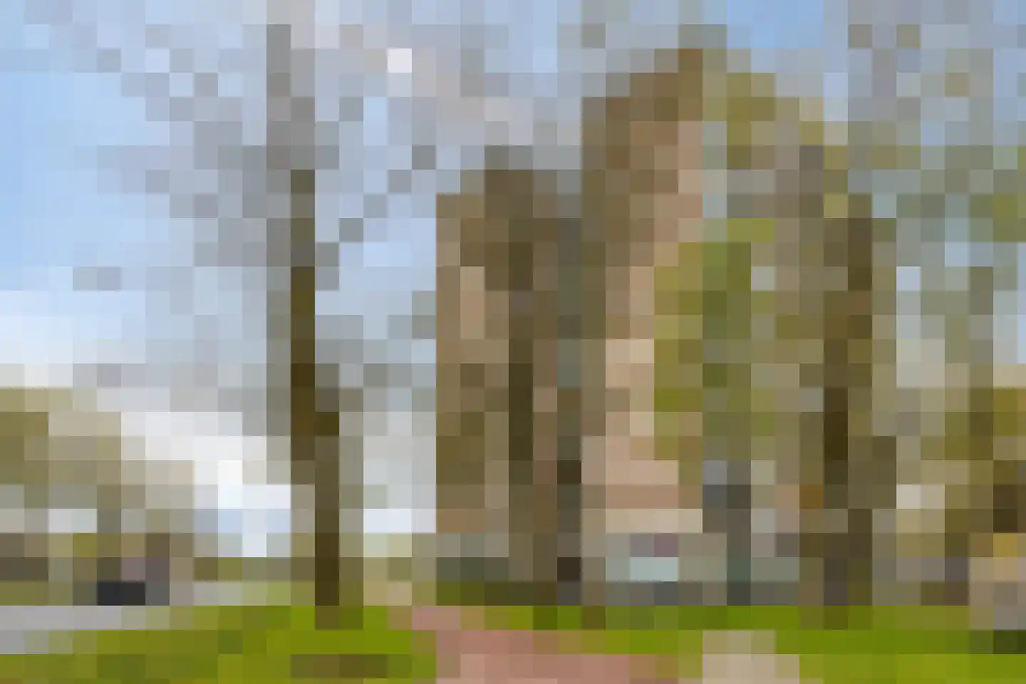 Prins Bernhardplein 44 Zaandam thumbnail 28