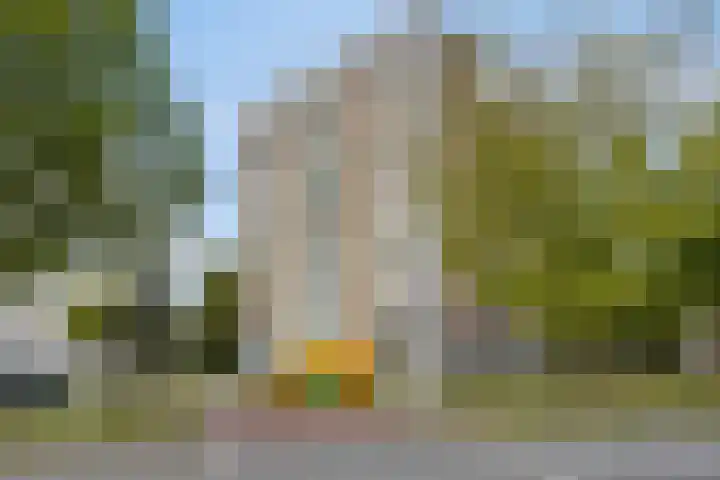 Prins Bernhardplein 50 Zaandam thumbnail 22