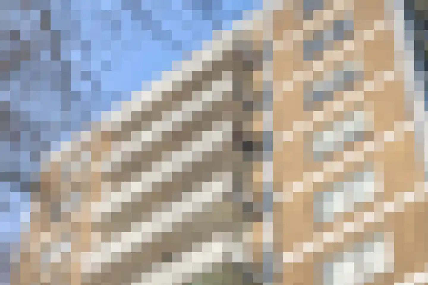 Prins Bernhardplein 61 Zaandam thumbnail 31