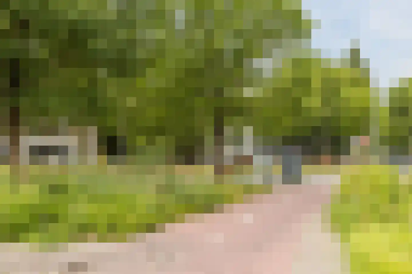 Prins Bernhardplein 67 Zaandam thumbnail 22