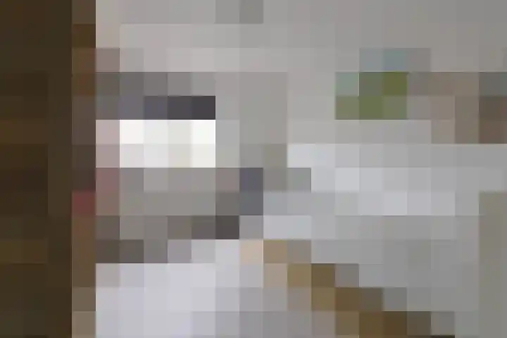 Prins Bernhardsingel 9 Muiden thumbnail 21
