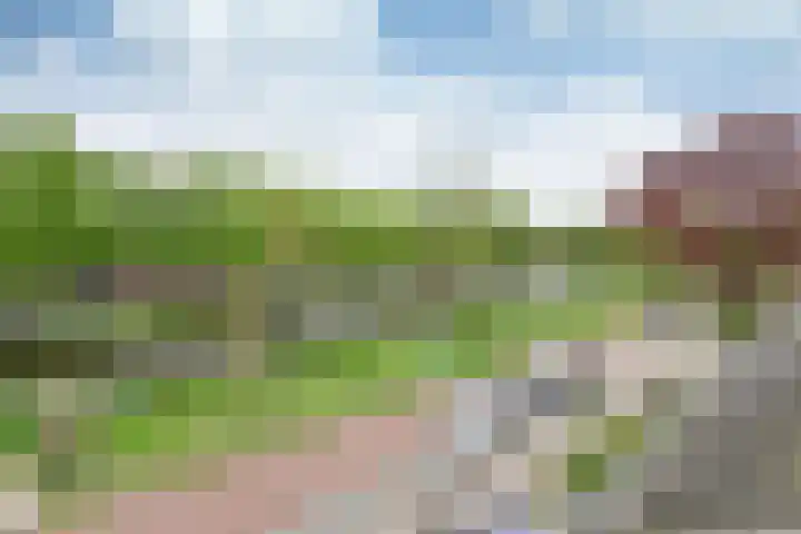 Prins Bernhardsingel 9 Muiden thumbnail 23