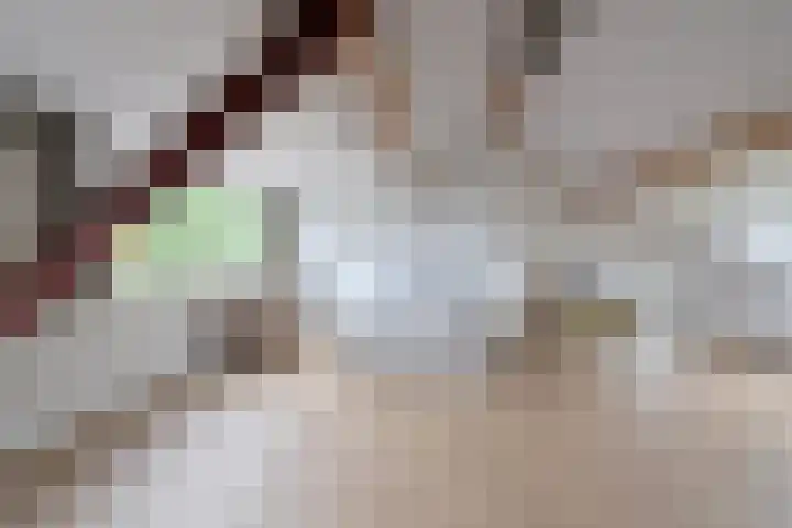 Prins Bernhardsingel 9 Muiden thumbnail 24