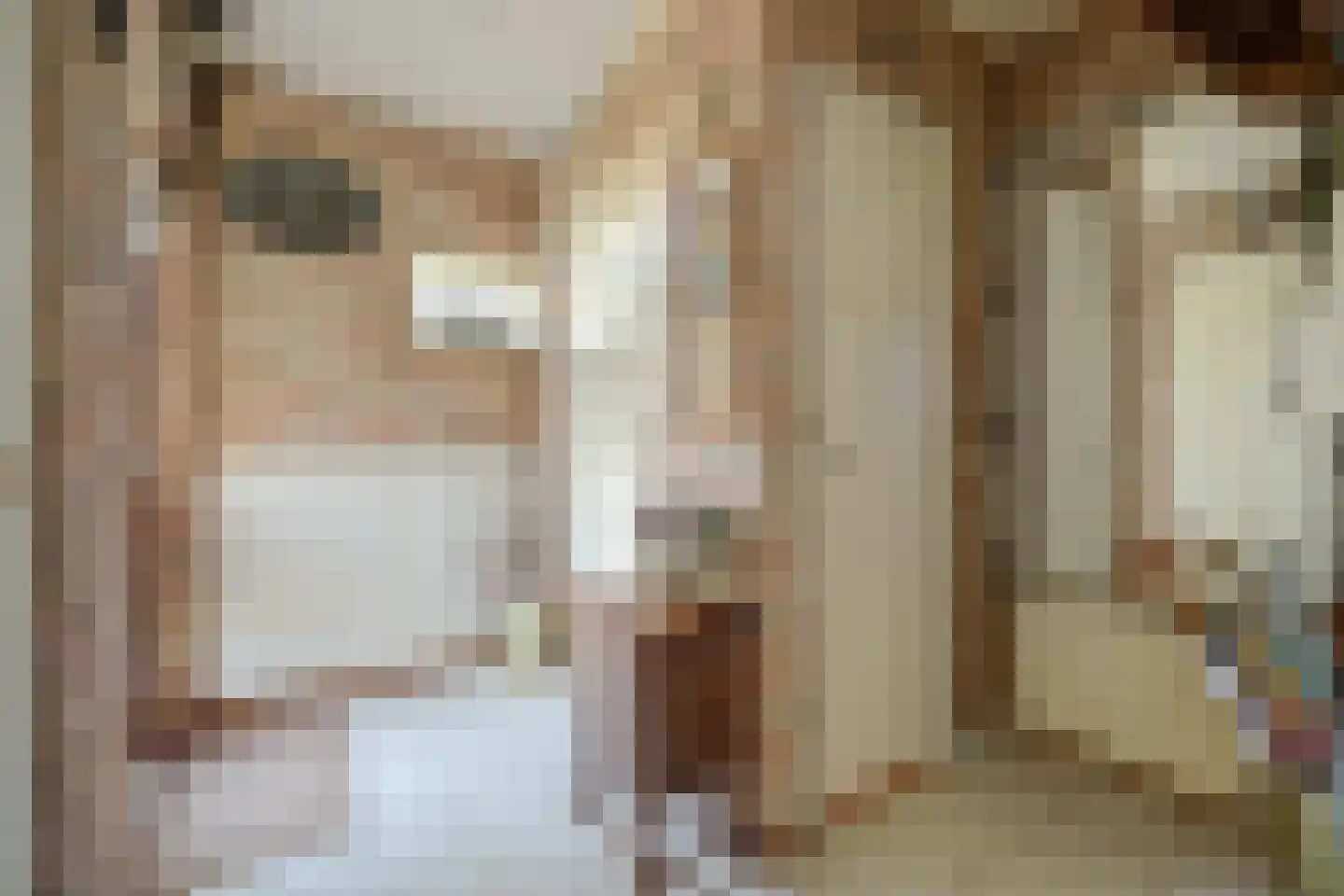 Prins Bernhardstraat 1 Arnemuiden thumbnail 10