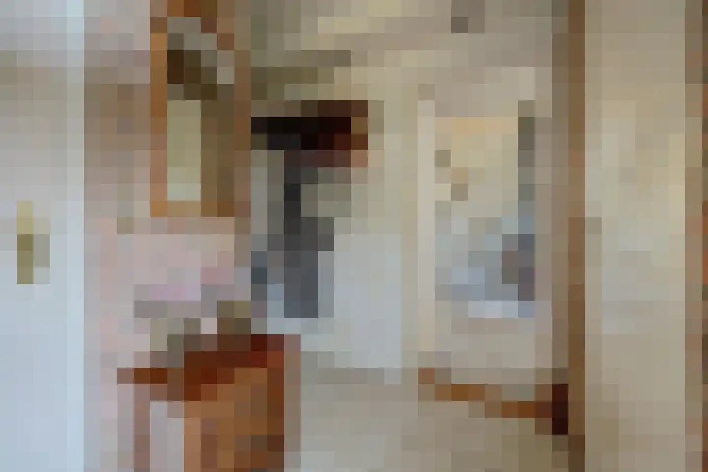 Prins Bernhardstraat 1 Arnemuiden thumbnail 12
