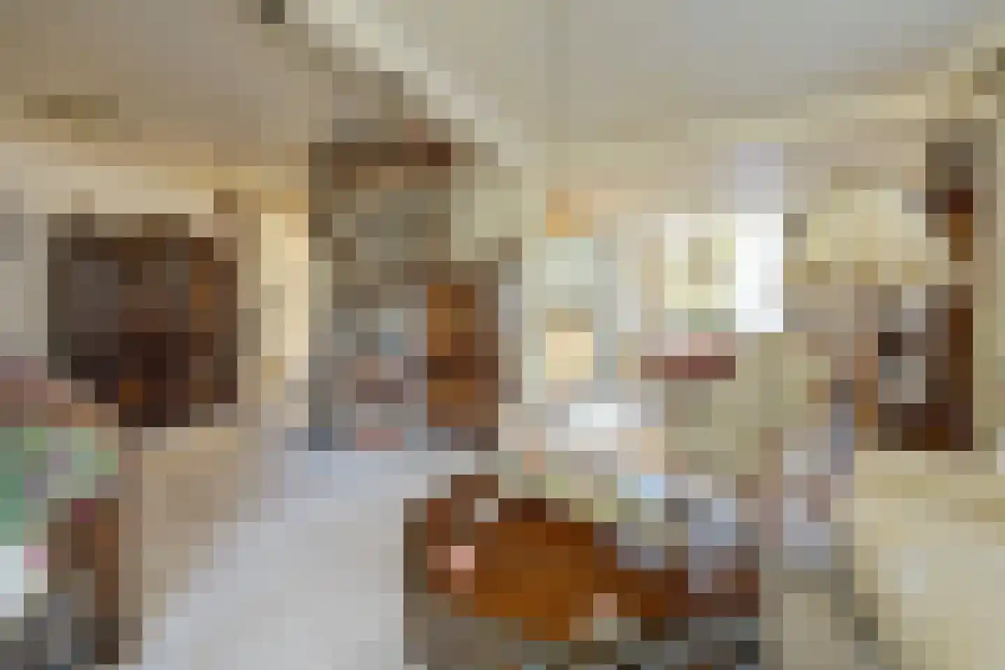Prins Bernhardstraat 1 Arnemuiden thumbnail 17