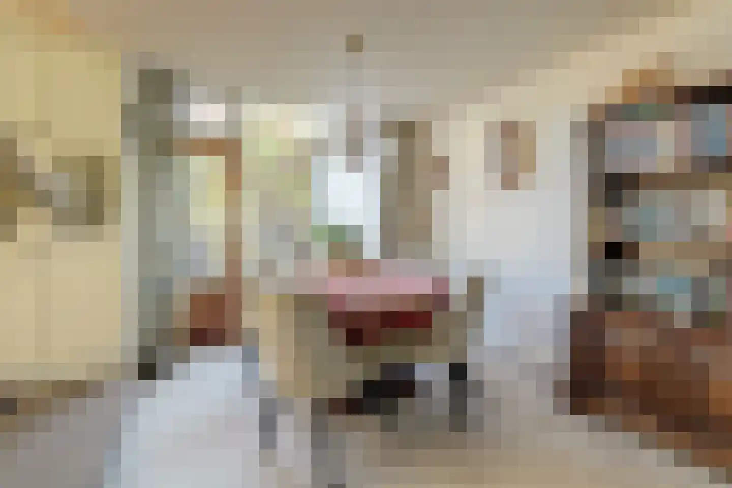 Prins Bernhardstraat 1 Arnemuiden thumbnail 18