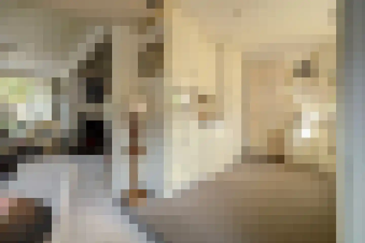 Prins Bernhardstraat 1 Arnemuiden thumbnail 20