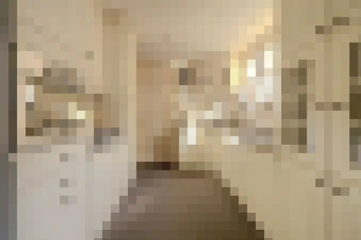 Prins Bernhardstraat 1 Arnemuiden thumbnail 21