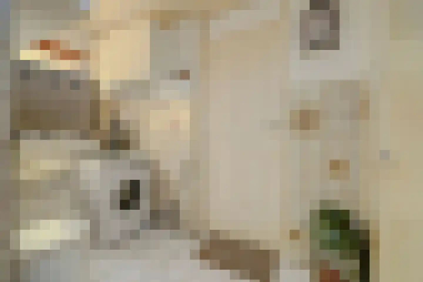 Prins Bernhardstraat 1 Arnemuiden thumbnail 25