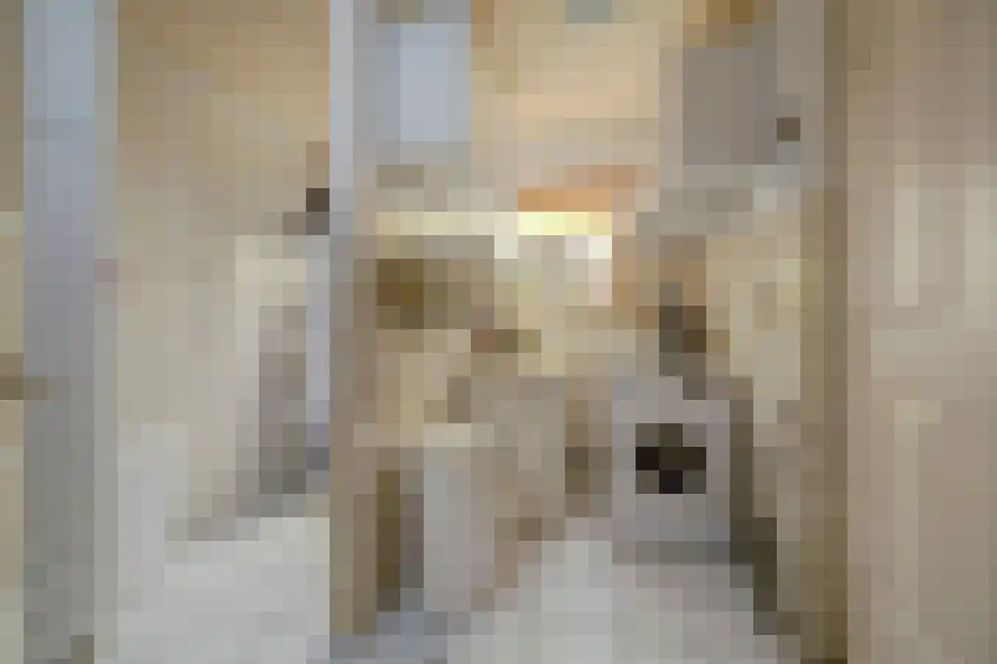 Prins Bernhardstraat 1 Arnemuiden thumbnail 26