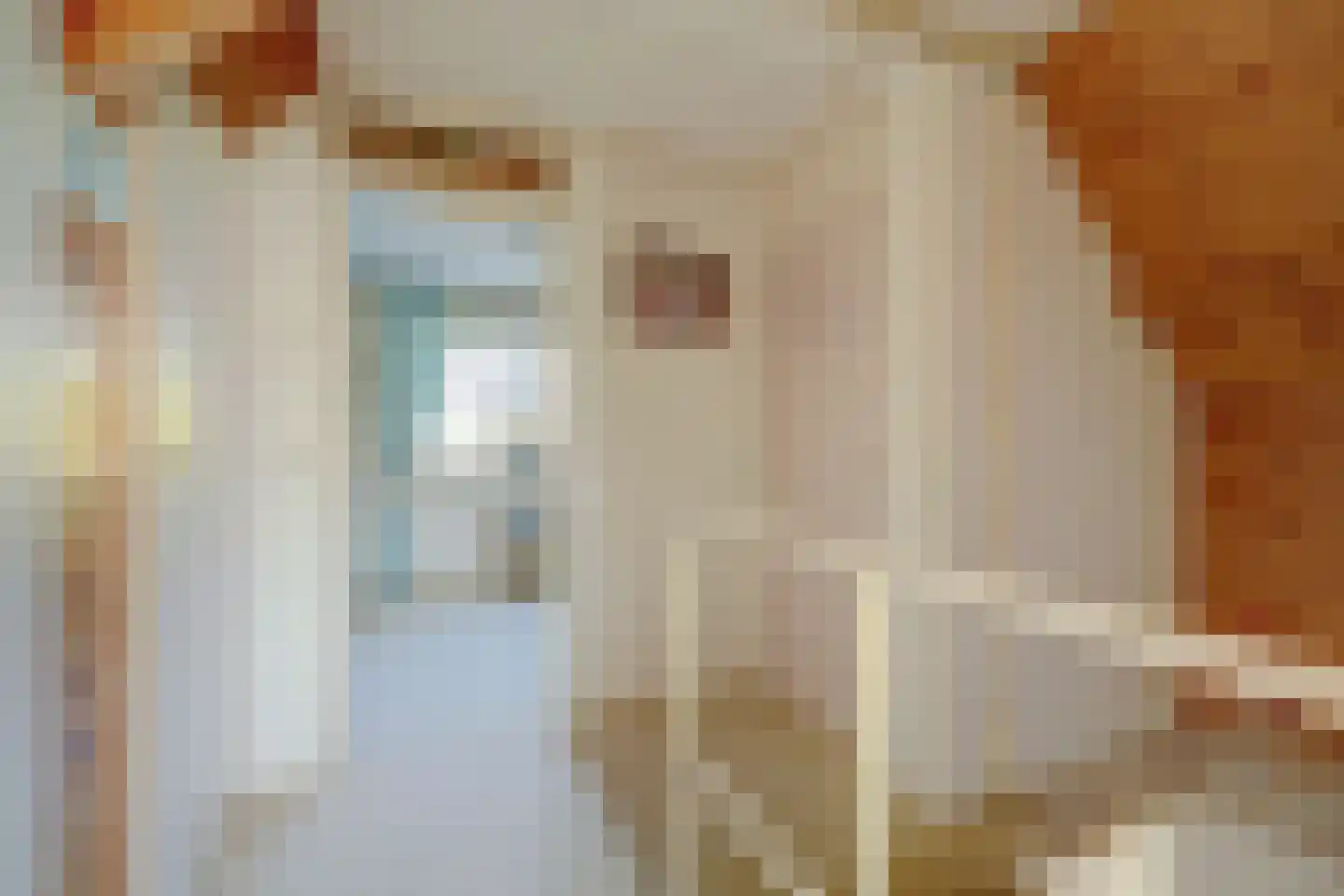 Prins Bernhardstraat 1 Arnemuiden thumbnail 42