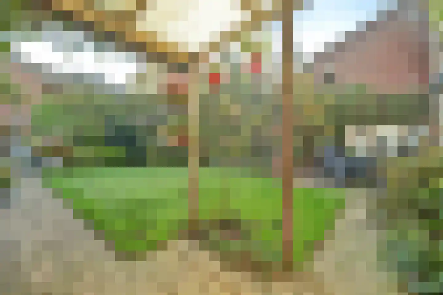 Prins Bernhardstraat 1 Arnemuiden thumbnail 48