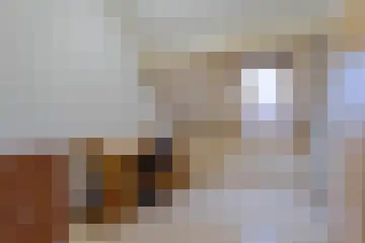 Prins Bernhardstraat 1 D Koudekerk aan den Rijn thumbnail 16