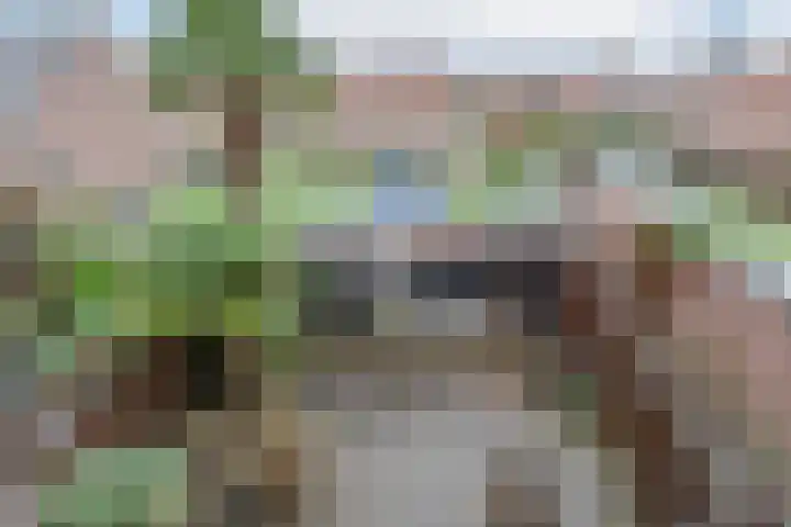 Prins Bernhardstraat 1 D Koudekerk aan den Rijn thumbnail 17