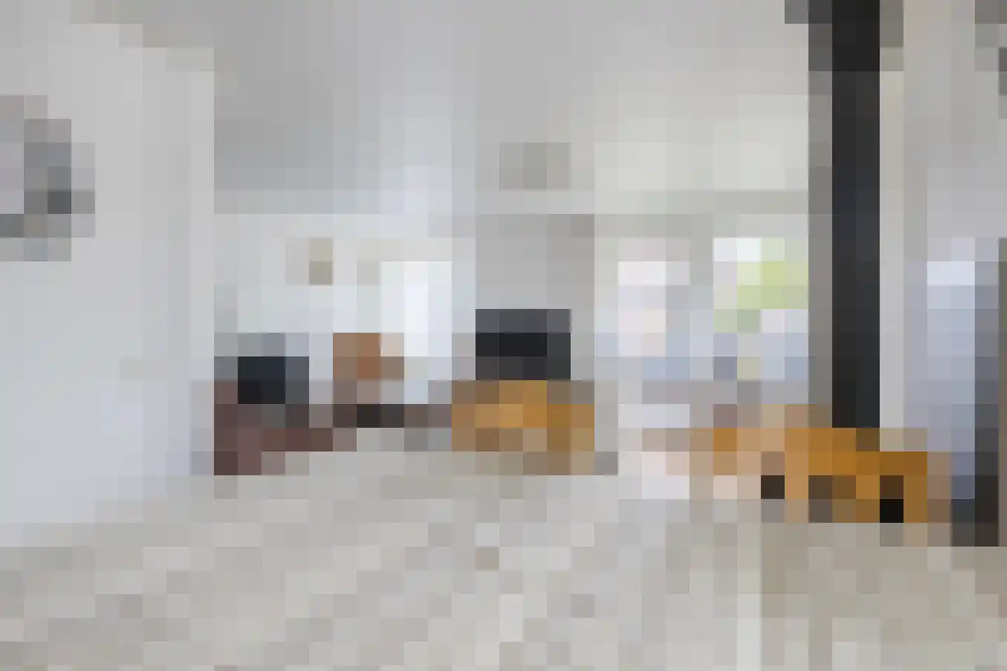 Prins Bernhardstraat 1 Vroomshoop thumbnail 13