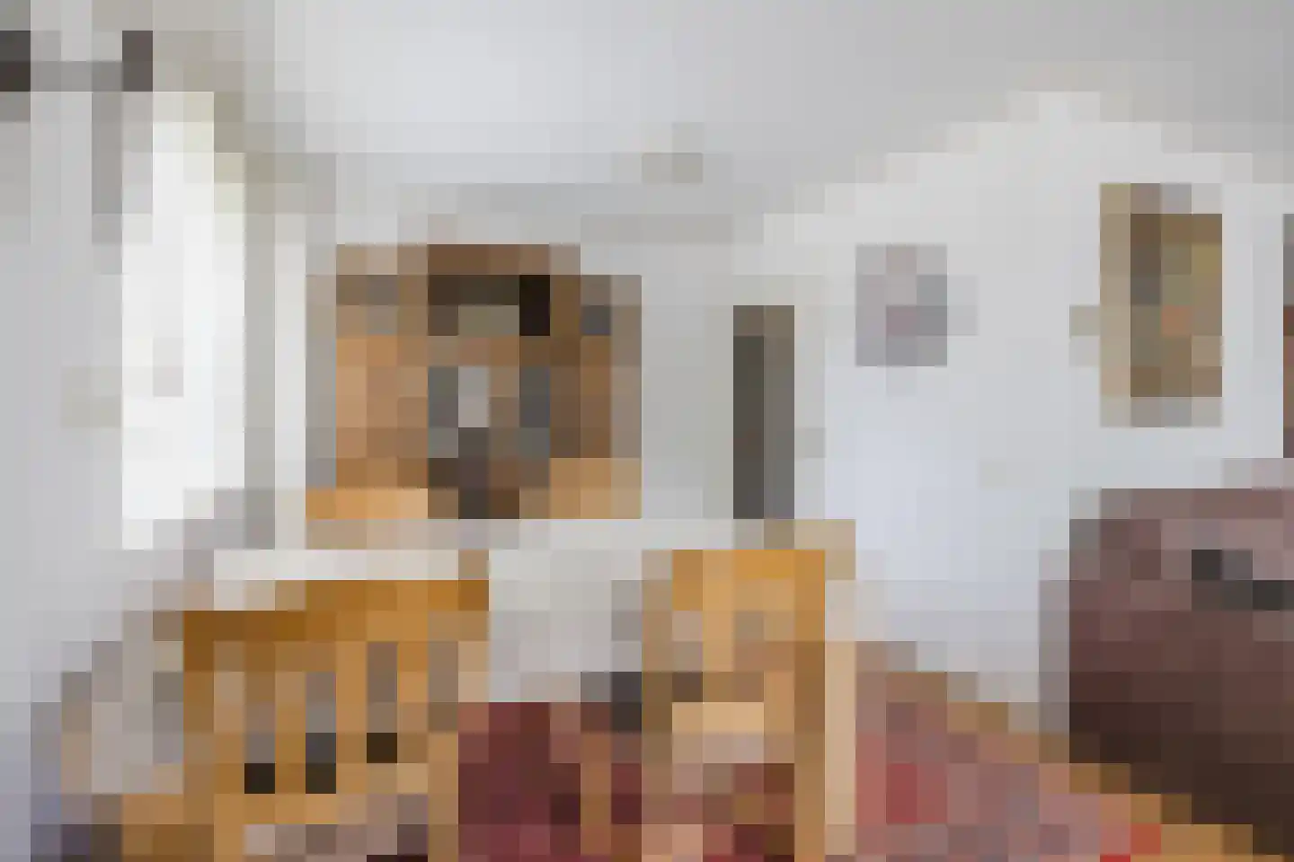 Prins Bernhardstraat 1 Vroomshoop thumbnail 14