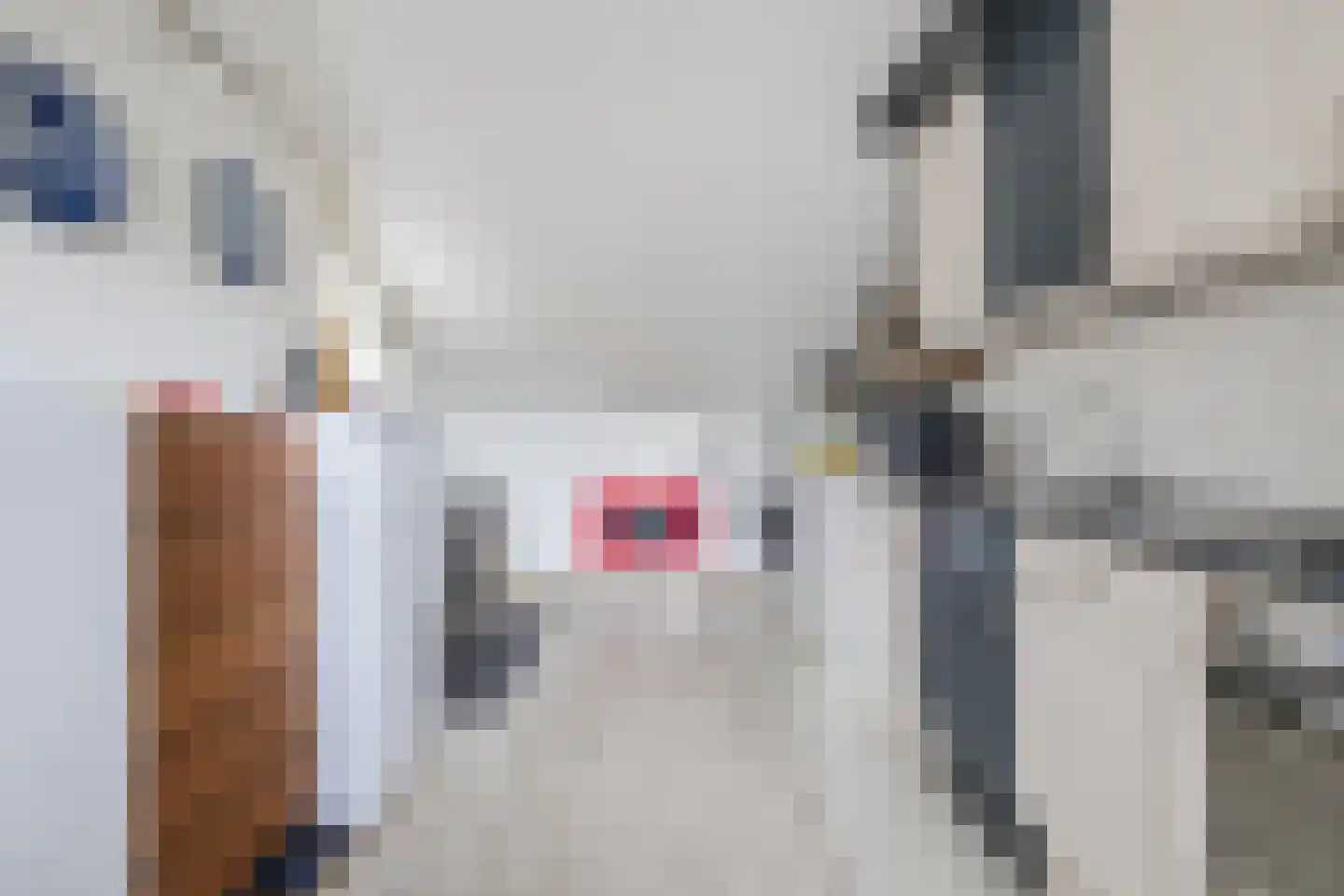 Prins Bernhardstraat 1 Vroomshoop thumbnail 16