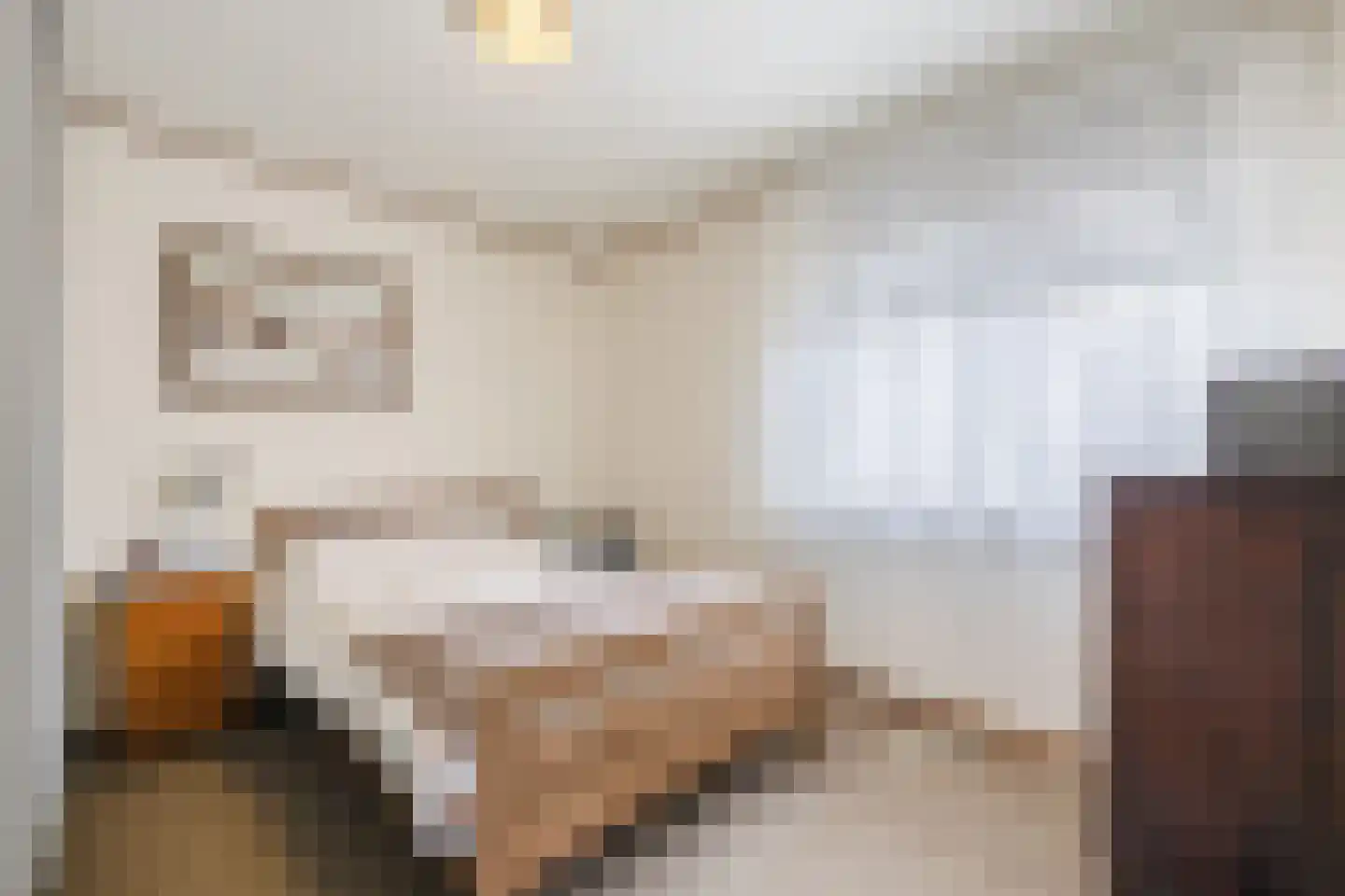 Prins Bernhardstraat 1 Vroomshoop thumbnail 18
