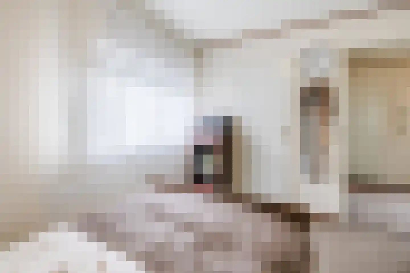 Prins Bernhardstraat 1 Vroomshoop thumbnail 19