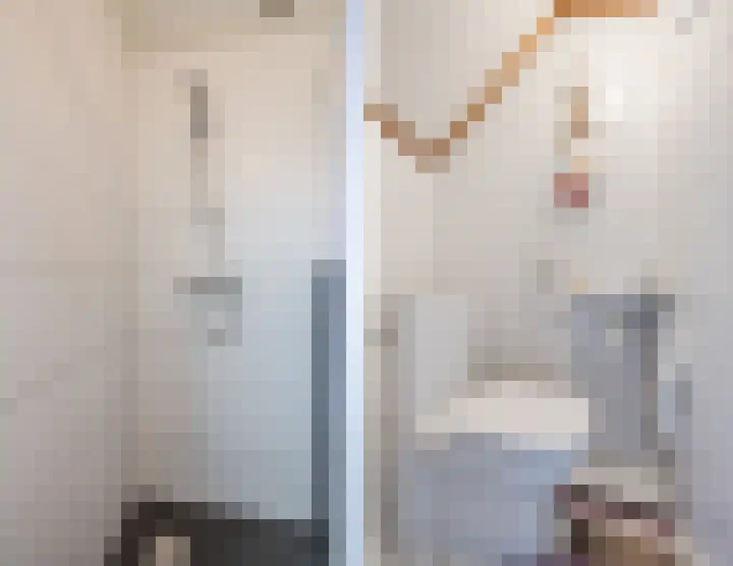 Prins Bernhardstraat 1 Vroomshoop thumbnail 21
