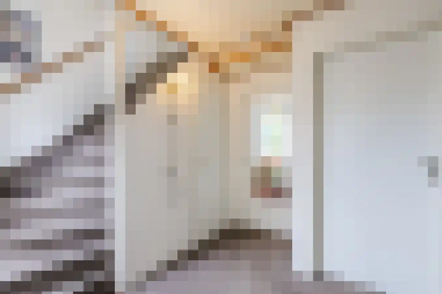Prins Bernhardstraat 1 Vroomshoop thumbnail 22
