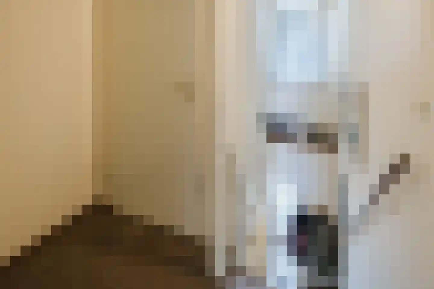 Prins Bernhardstraat 1 Vroomshoop thumbnail 23