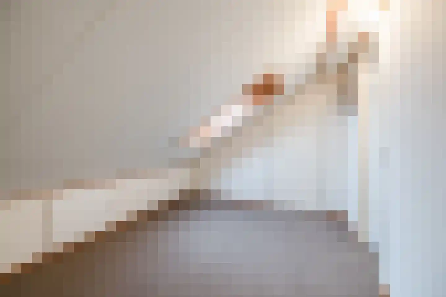 Prins Bernhardstraat 1 Vroomshoop thumbnail 25