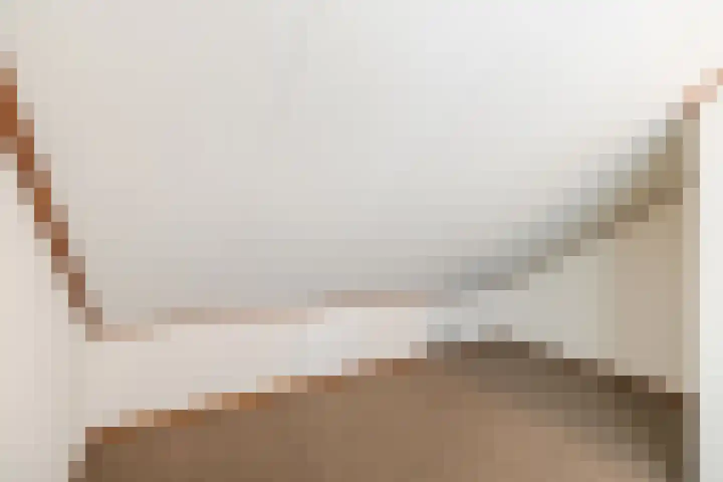 Prins Bernhardstraat 1 Vroomshoop thumbnail 27