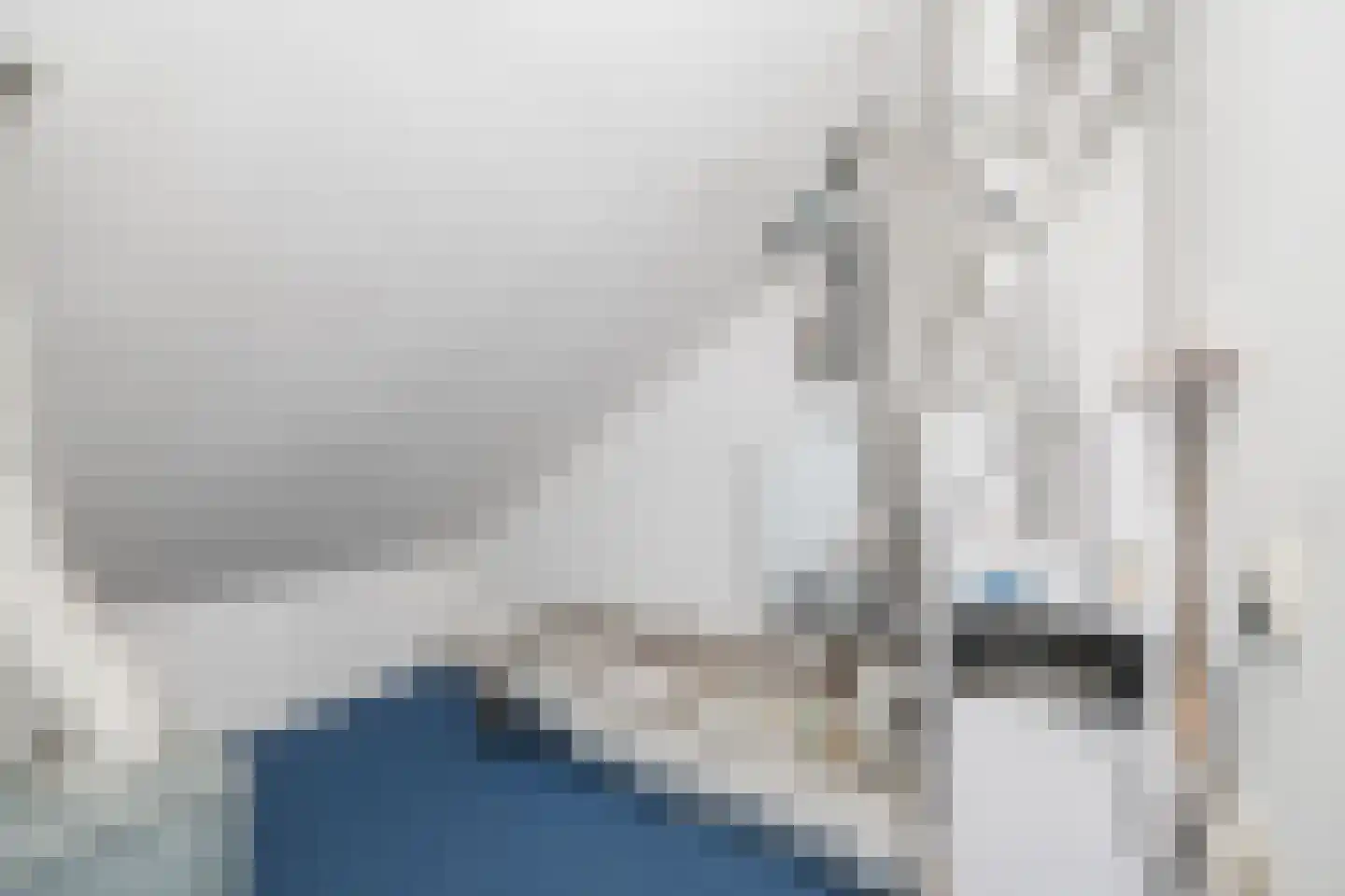 Prins Bernhardstraat 1 Vroomshoop thumbnail 30