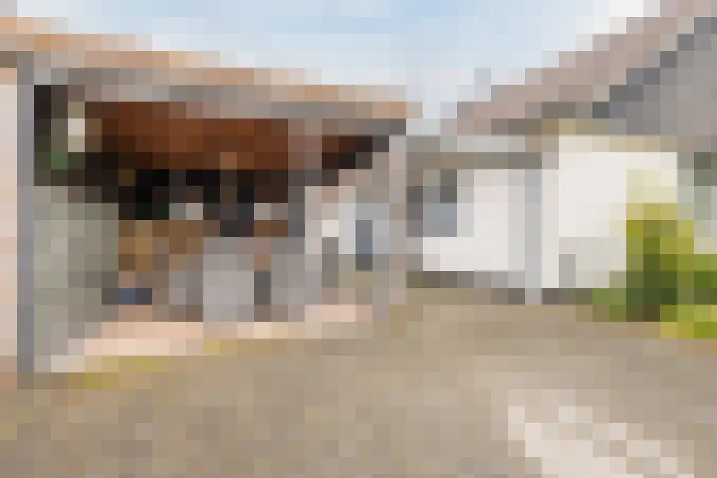 Prins Bernhardstraat 1 Vroomshoop thumbnail 31