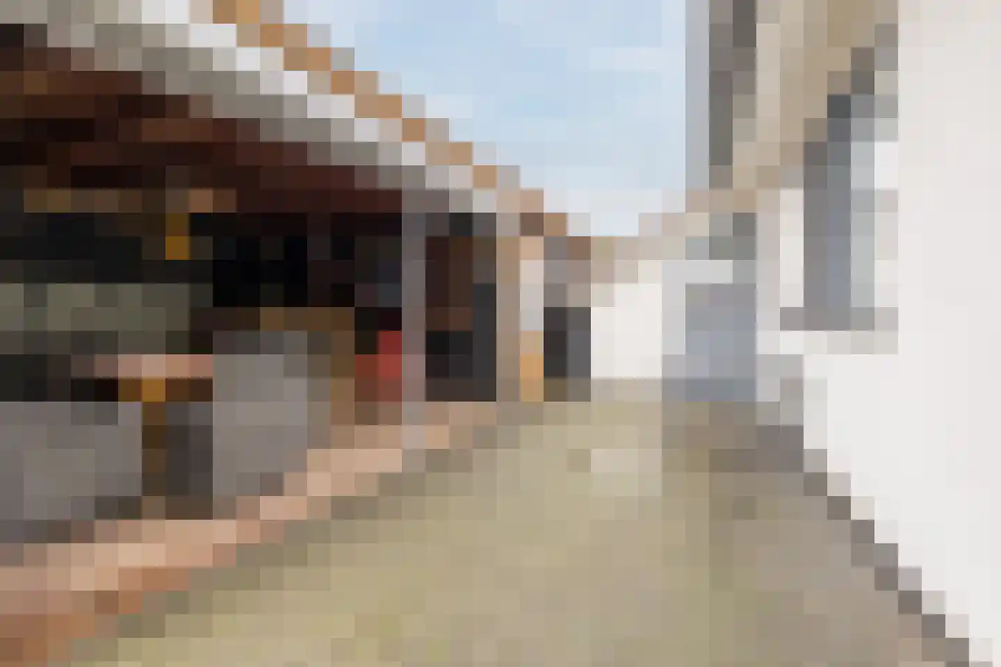 Prins Bernhardstraat 1 Vroomshoop thumbnail 32
