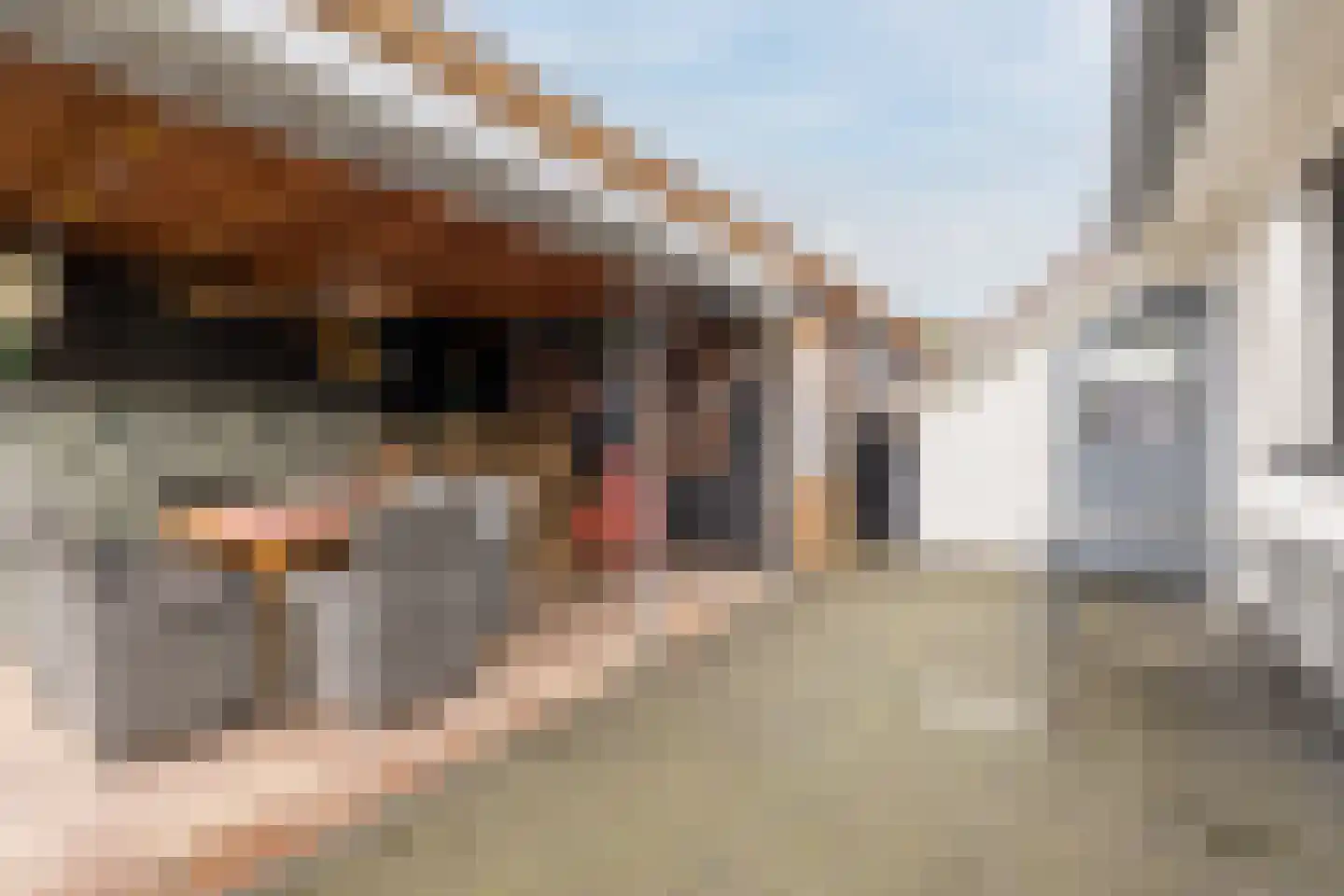 Prins Bernhardstraat 1 Vroomshoop thumbnail 33