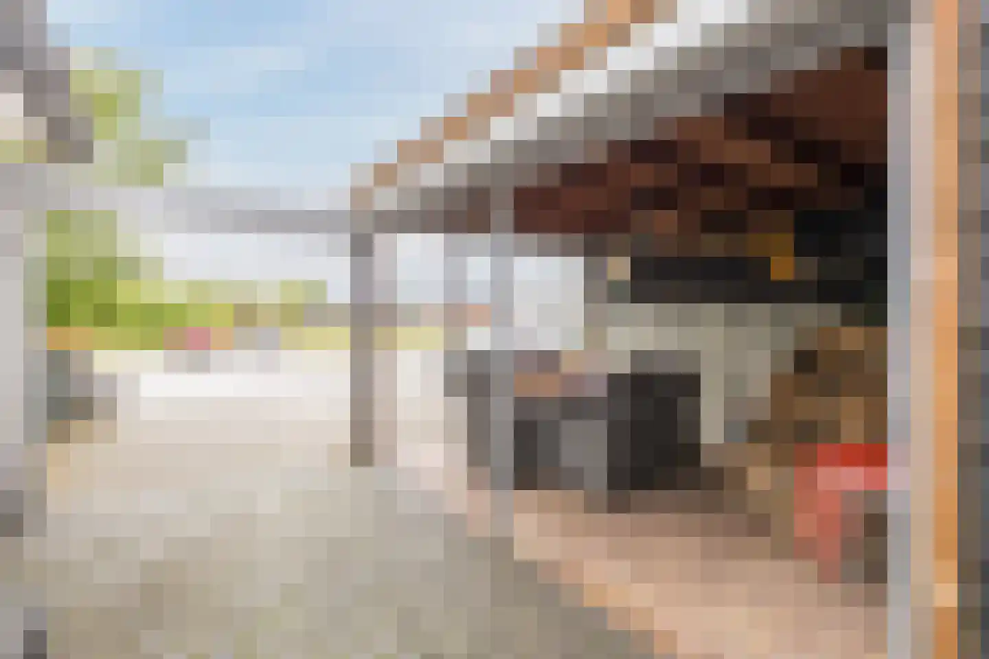 Prins Bernhardstraat 1 Vroomshoop thumbnail 34