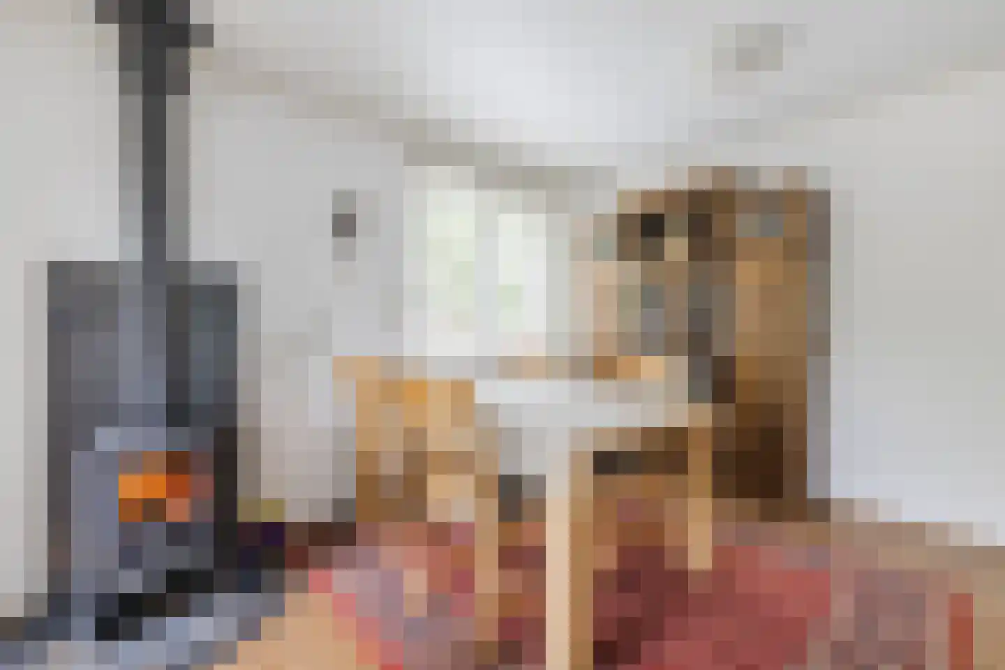 Prins Bernhardstraat 1 Vroomshoop thumbnail 4