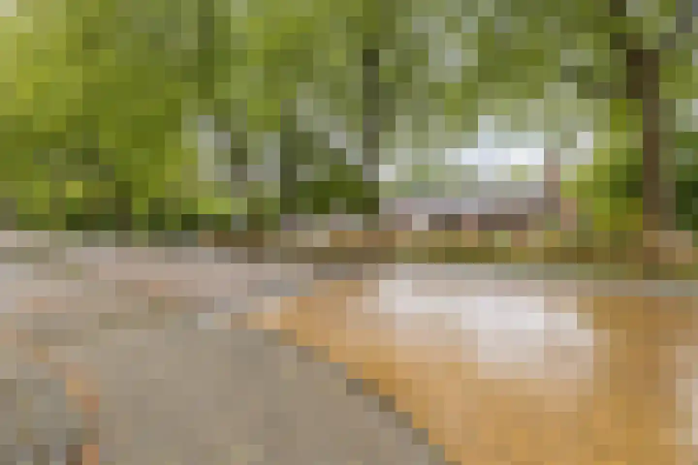 Prins Bernhardstraat 1 Vroomshoop thumbnail 41