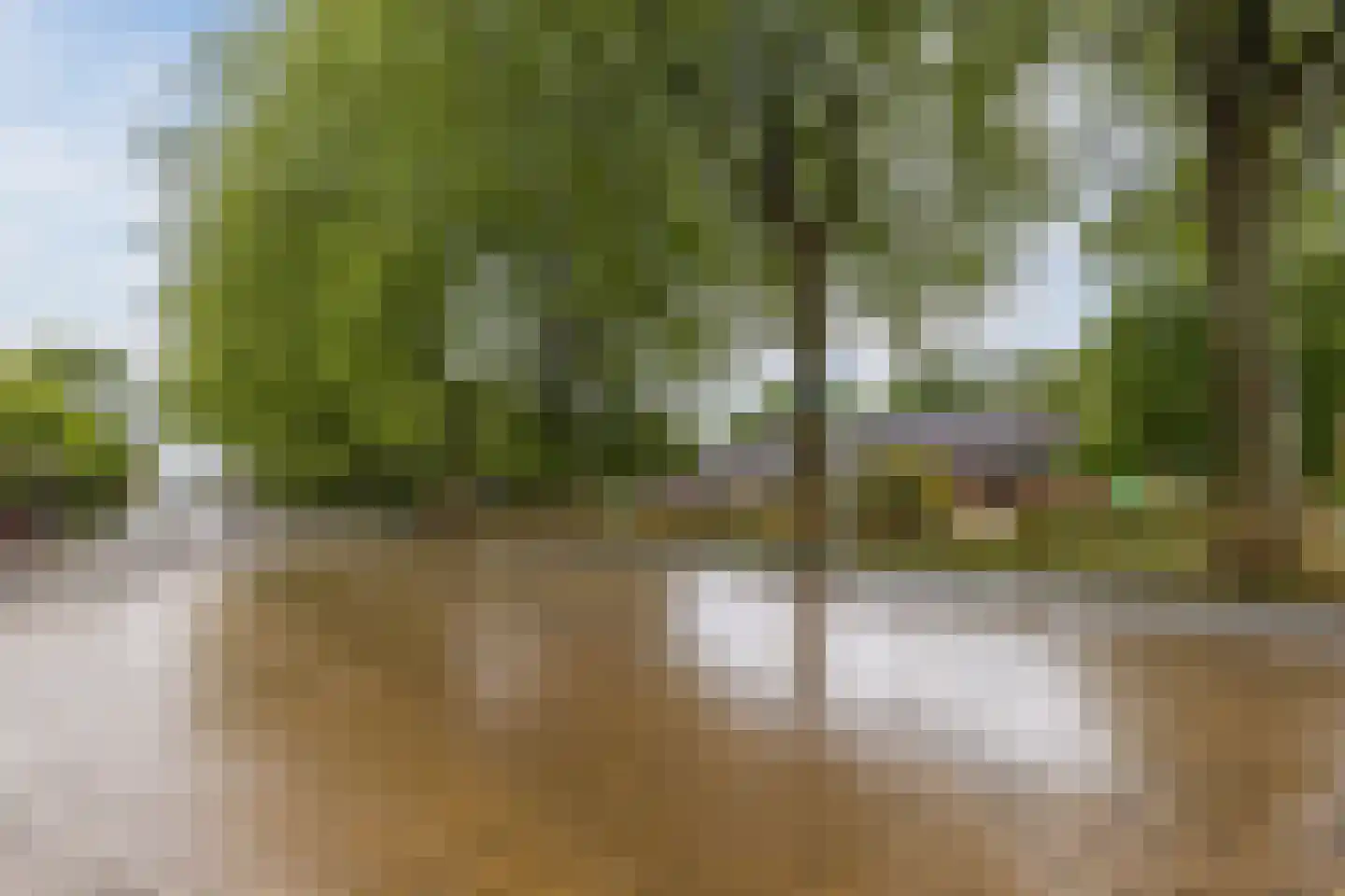 Prins Bernhardstraat 1 Vroomshoop thumbnail 42