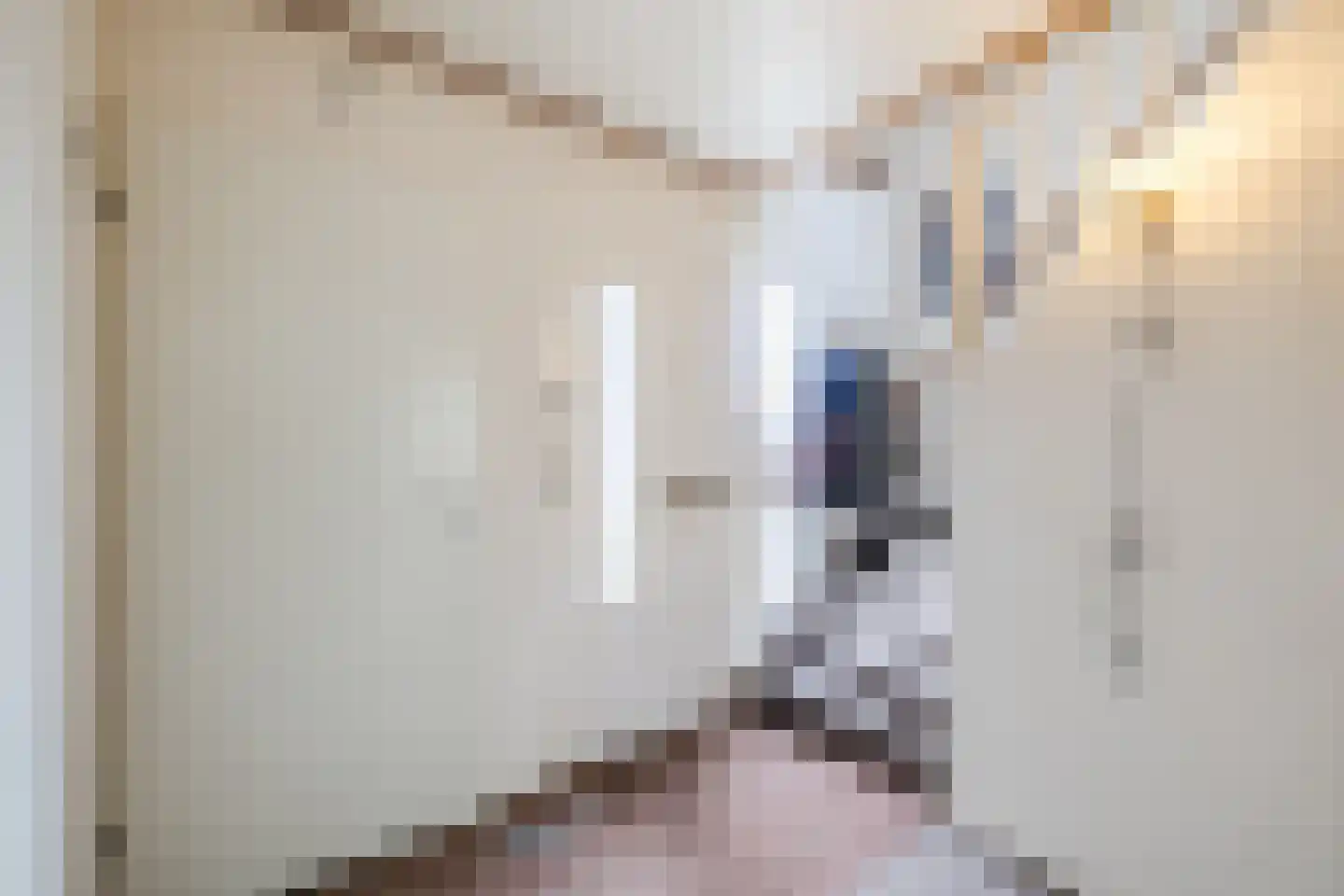 Prins Bernhardstraat 1 Vroomshoop thumbnail 7