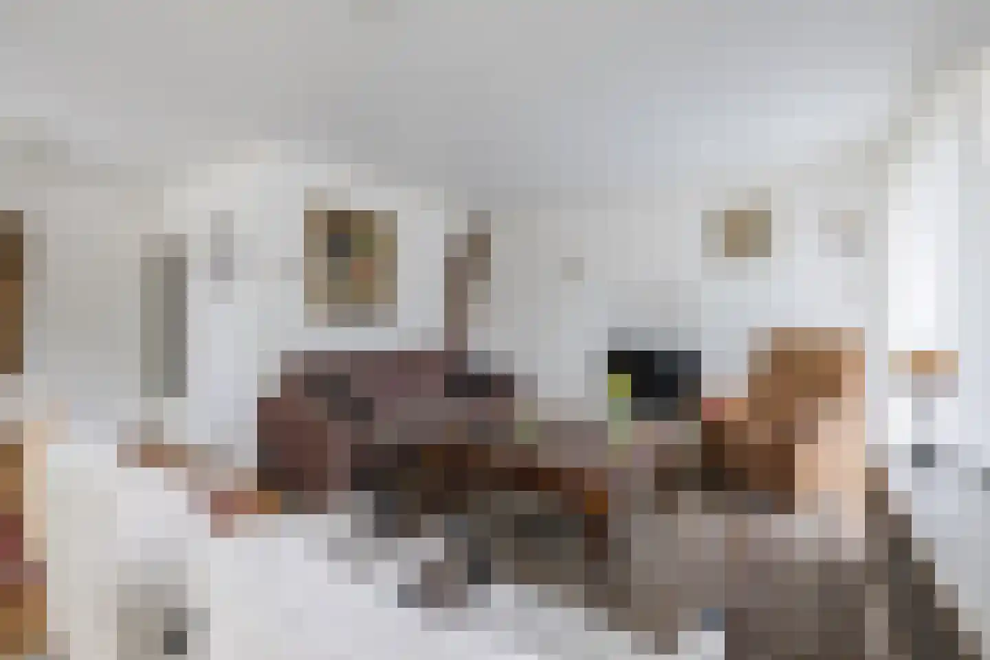 Prins Bernhardstraat 1 Vroomshoop thumbnail 8