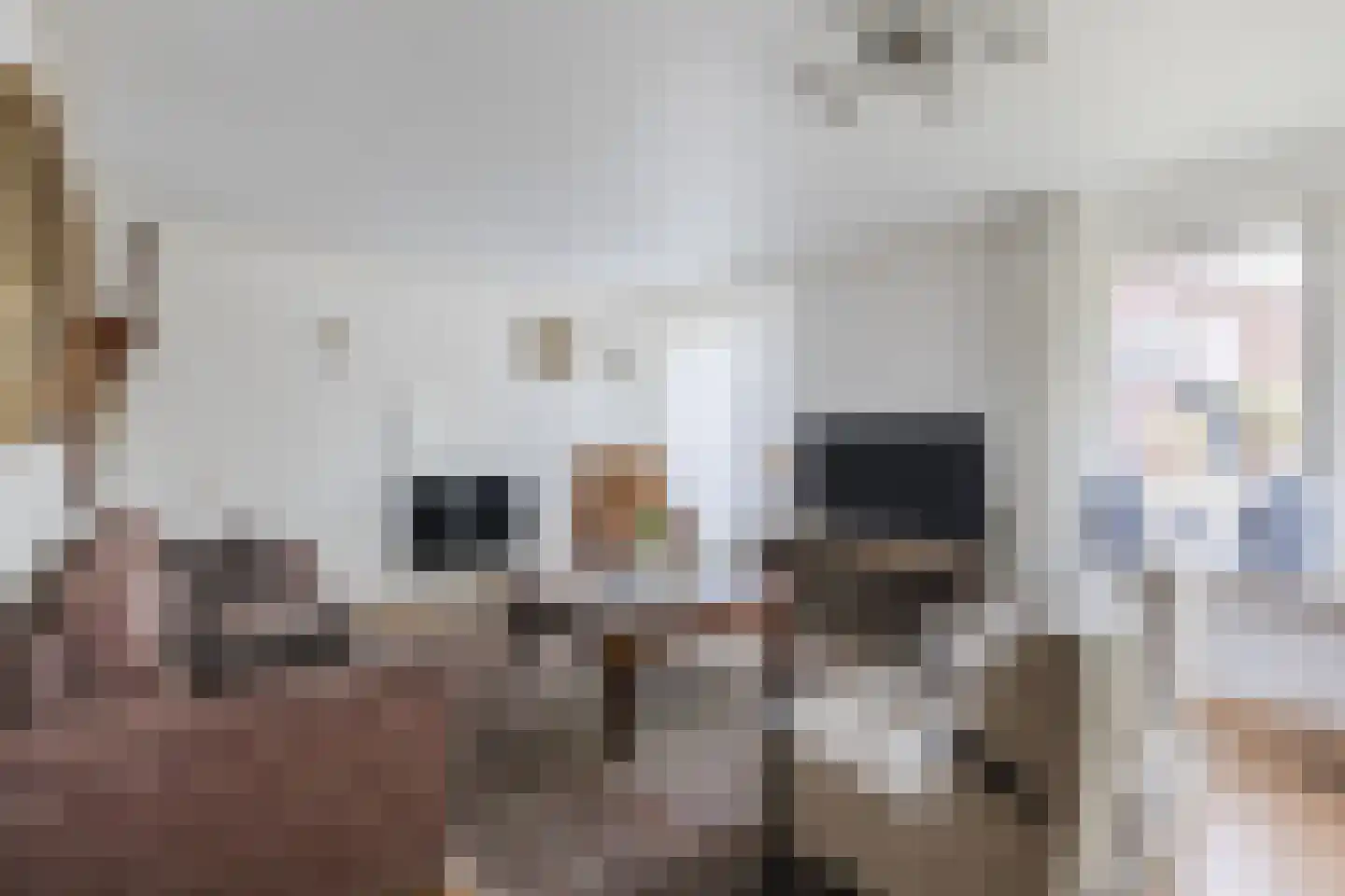 Prins Bernhardstraat 1 Vroomshoop thumbnail 9