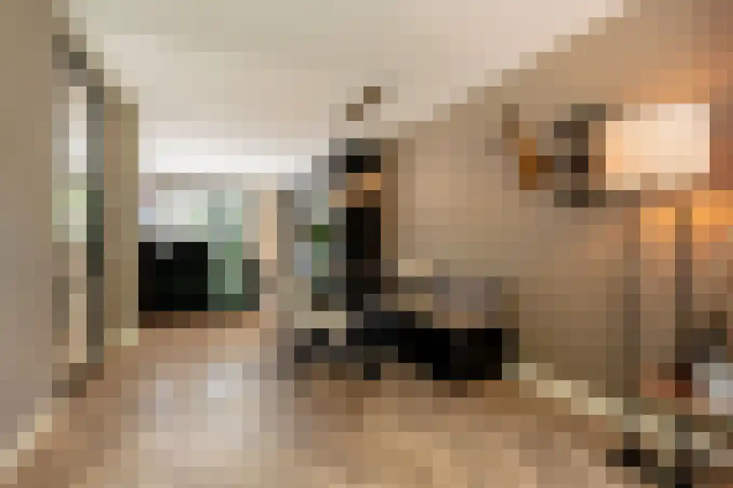 Prins Bernhardstraat 10 Nootdorp thumbnail 10