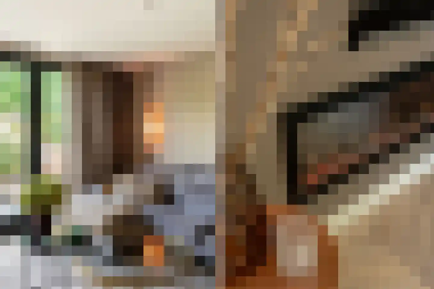 Prins Bernhardstraat 10 Nootdorp thumbnail 11