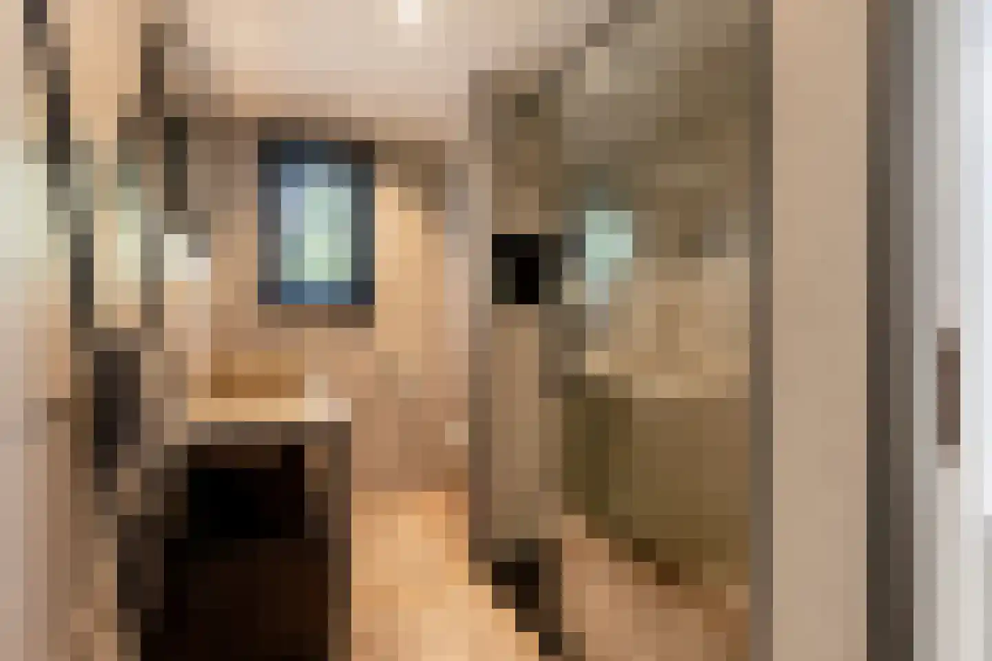 Prins Bernhardstraat 10 Nootdorp thumbnail 24