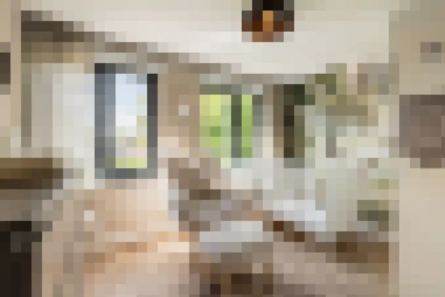 Prins Bernhardstraat 10 Nootdorp thumbnail 26