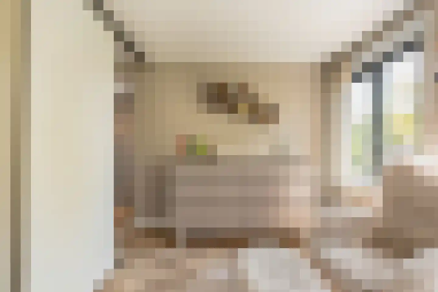 Prins Bernhardstraat 10 Nootdorp thumbnail 27
