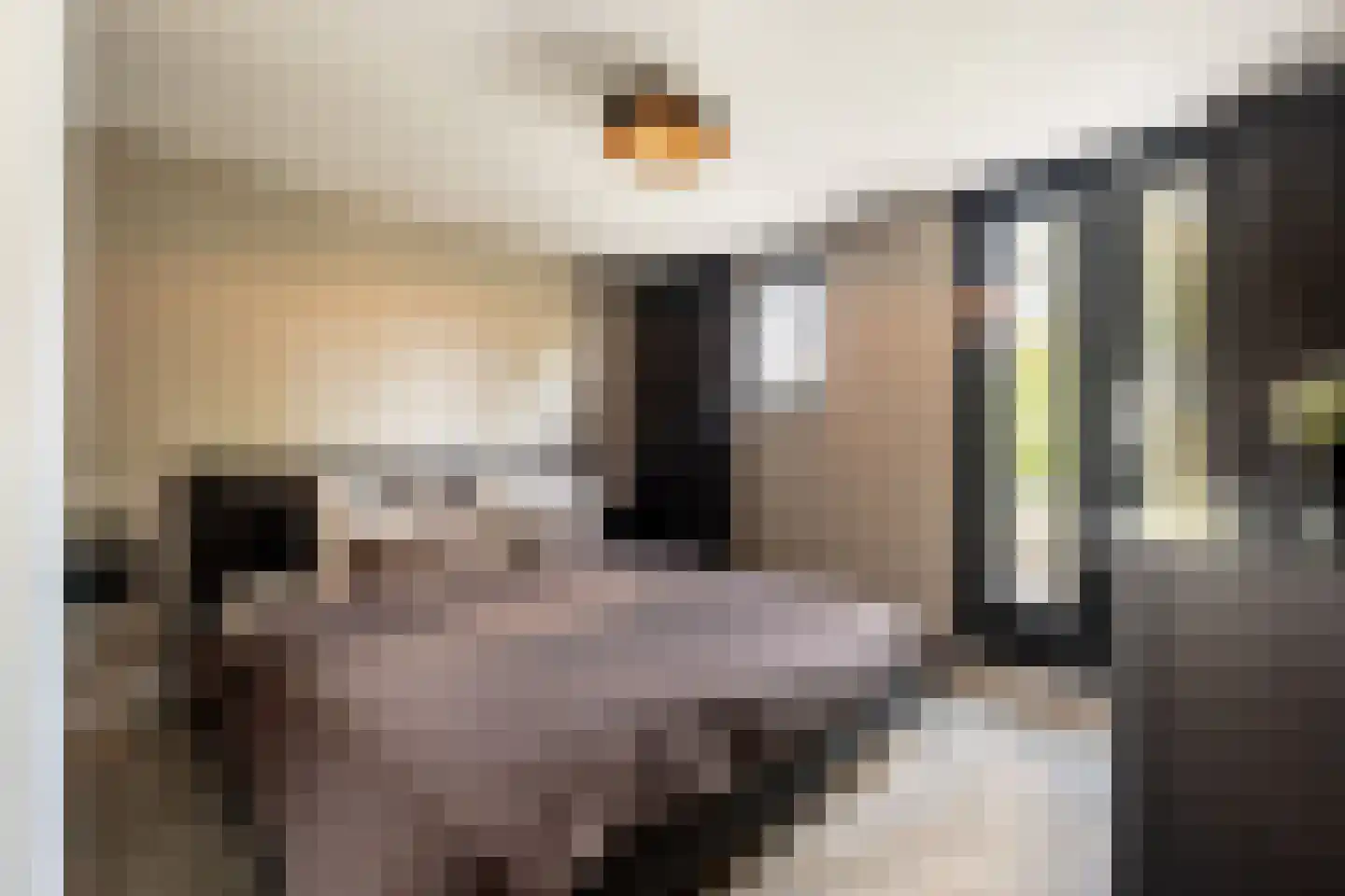 Prins Bernhardstraat 10 Nootdorp thumbnail 28