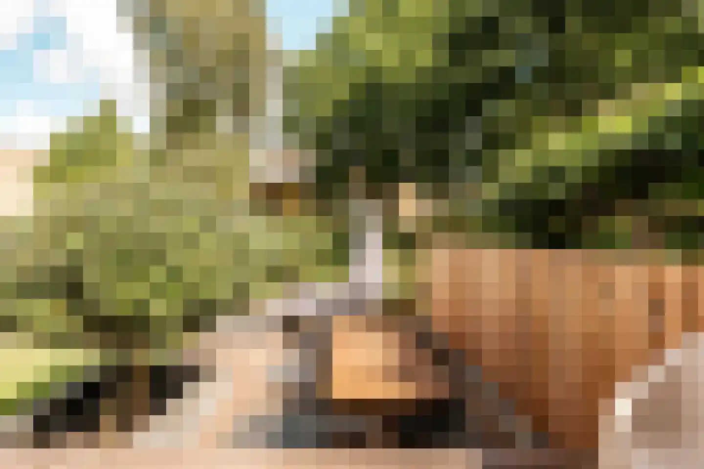 Prins Bernhardstraat 10 Nootdorp thumbnail 31